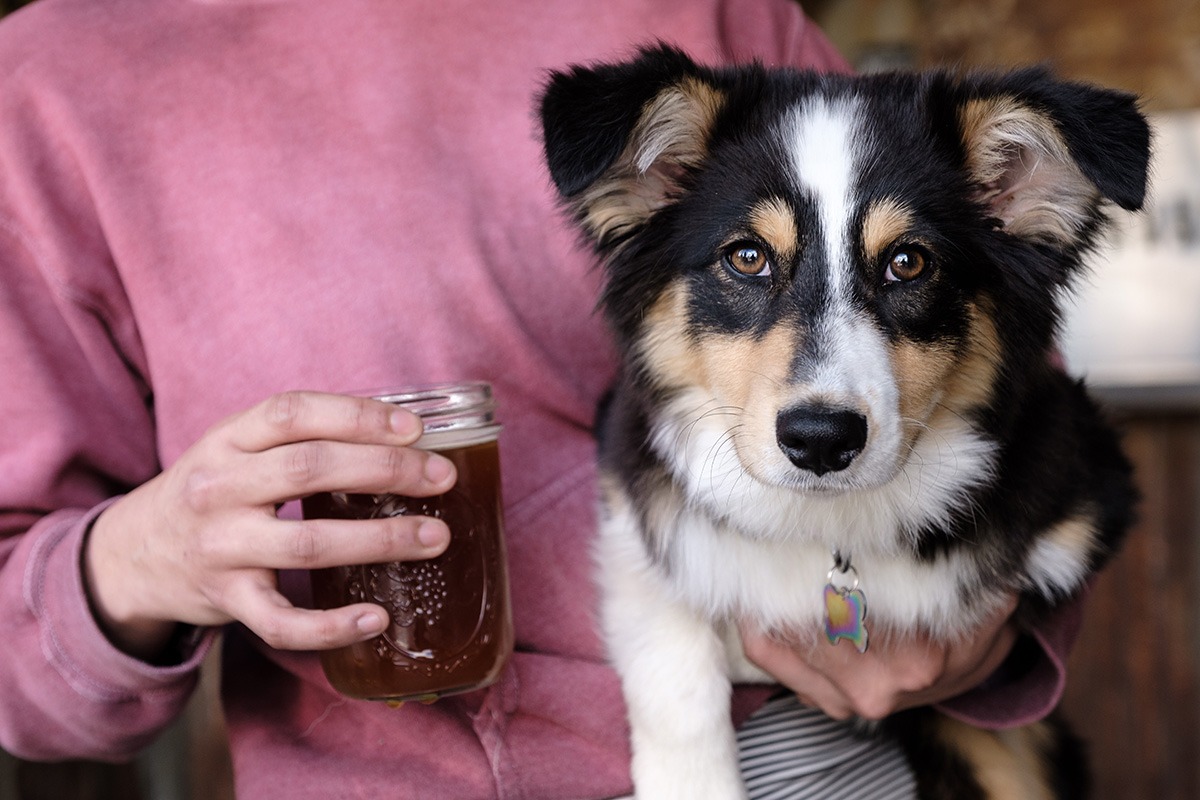 Holding a dog and a beer