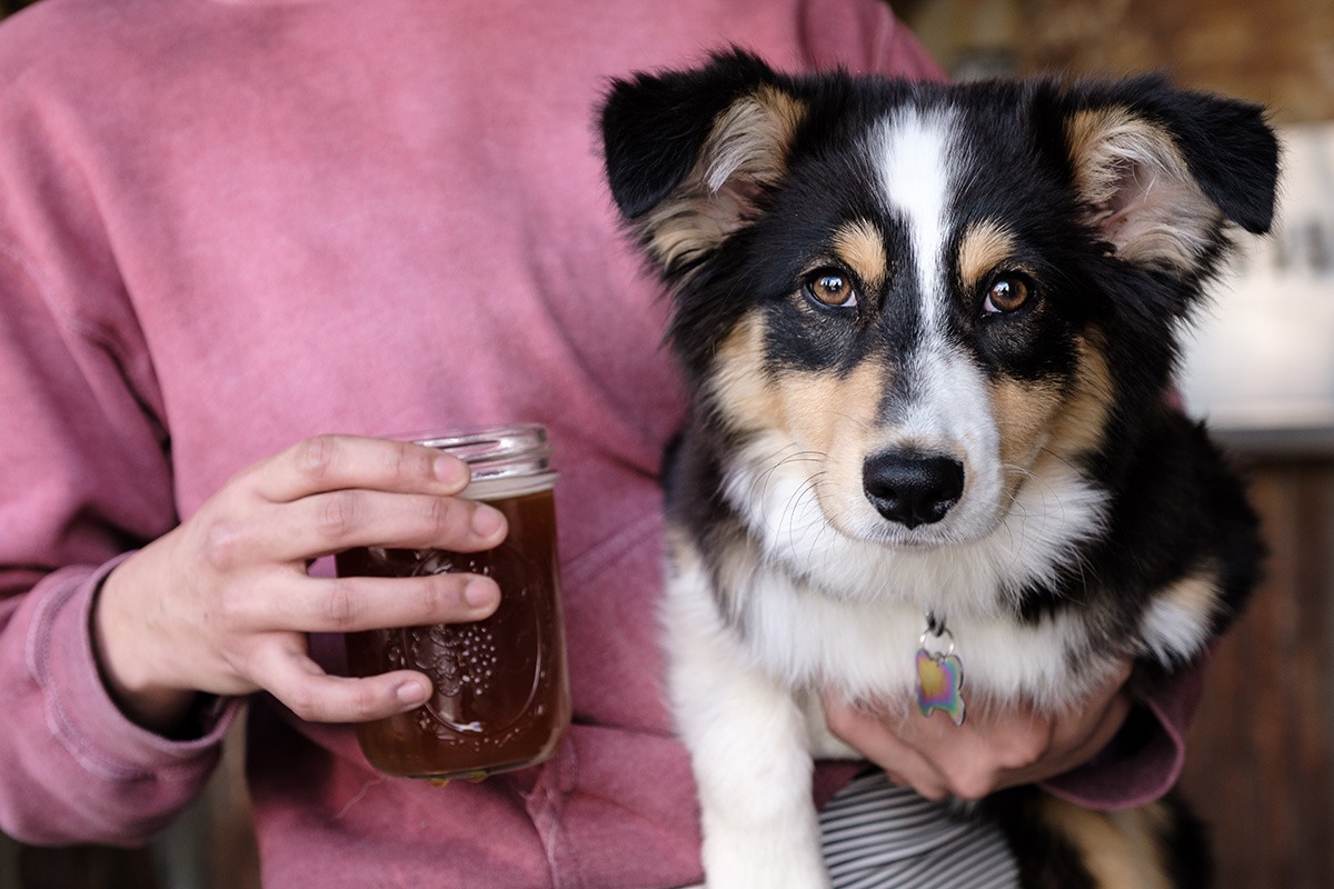 Holding a dog and a beer
